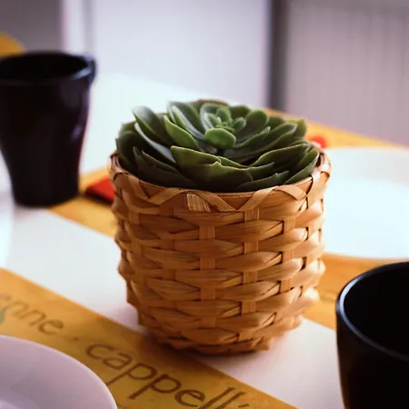 Studio Duria Düren - Eifel Zewnętrze zdjęcie